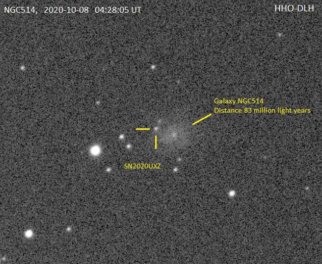 NGC 514 - SN2020 by Dan Herrman 